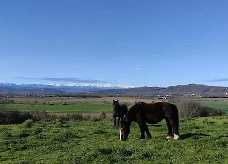 Domaine De Montaut